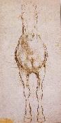 LEONARDO da Vinci Study of the proportion of horses oil on canvas